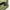 Uniqlo Casual Casual shirt Pria multicolor green photo 5