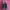 Adidas Streetwear Casual Sneakers Pria green pink photo 3