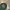 Timberland Casual T-shirt Pria green gray photo 3