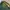 Timberland Casual T-shirt Pria green gray photo 6