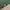 Timberland Casual T-shirt Pria green gray photo 4