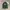 Timberland Casual T-shirt Pria green gray photo 1
