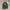 Timberland Casual T-shirt Pria Green Gray
