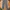 Dickies Casual Casual pants Pria gray photo 1