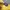 Stussy Streetwear T-shirt Pria yellow photo 4