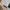 Fjällräven Streetwear Pria multicolor photo 4