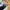 Fjällräven Streetwear Pria multicolor photo 6