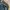 Casual Harrington jacket Pria khaki photo 6