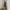 Casual Harrington jacket Pria khaki photo 8