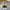 Casual Harrington jacket Pria khaki photo 5