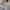 Casual Harrington jacket Pria khaki photo 4