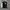 Sportswear Leather jacket Pria white black photo 1