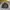 Casual Harrington jacket Pria multicolor photo 1