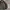 Casual Harrington jacket Pria multicolor photo 2
