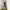 Casual Harrington jacket Pria multicolor photo 7