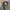 Casual Harrington jacket Pria multicolor photo 3
