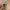 Japanese brand Casual Belt Pria multicolor photo 2