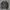 Nike Streetwear Fleece Pria Black