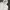 Adidas Casual Hoody Pria white photo 1