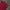 Fred Perry Luxury Casual Polo shirt Pria red photo 3