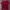 Fred Perry Luxury Casual Polo shirt Pria red photo 2