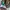 Sportswear Jersey Pria green white photo 2