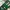 Sportswear Jersey Pria Green White