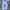 Wrangler Y2K Jeans Pria navy photo 2