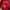 Sportswear Jersey Pria Red