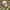 Hanes Vintage Hat Pria white photo 1