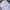 Hanes Vintage Hat Pria white photo 8