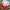 Hanes Vintage Hat Pria white photo 7