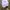 Hanes Vintage Hat Pria white photo 5