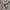 United Colors of Benetton Streetwear Casual Formal shirt Pria white gray photo 6