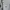 Titleist Sportswear Casual Windbreaker Pria white gray photo 5