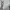 Titleist Sportswear Casual Windbreaker Pria white gray photo 7