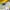 Sportswear Casual Windbreaker Wanita yellow photo 5