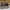 VANS Vintage Casual Sneakers Pria brown photo 1