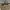 VANS Skater Casual Sneakers Pria gray photo 6