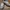 VANS Skater Casual Sneakers Pria gray photo 3