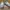 VANS Skater Casual Sneakers Pria gray photo 2