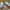 VANS Skater Casual Sneakers Pria Gray