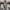 VANS Skater Casual Sneakers Pria gray photo 7