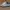 VANS Skater Casual Sneakers Pria gray photo 1