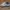 VANS Skater Casual Sneakers Pria Gray