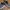 VANS Casual Sneakers Pria gray photo 3
