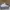 VANS Casual Sneakers Pria white photo 1