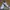 VANS Casual Sneakers Pria white photo 4