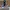 Converse Skater Casual Sneakers Pria white black photo 5