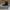 Converse Skater Casual Sneakers Pria white black photo 1